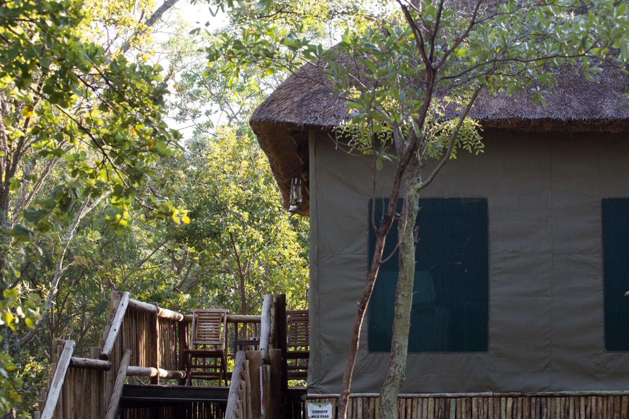 ホテル Honeyguide Ranger Camp Golders Green 部屋 写真